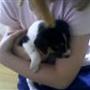 Sofie-Amalie N