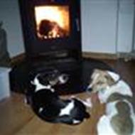 Charlotte - Odden Møllegård J