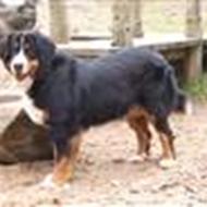 Martin og Anna Marie R