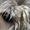 --{@ Team Irsk Ulvehund @}--  .