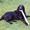 Susanne N