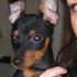 Bo, Scirocco og Sally