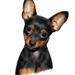 To hun-hunde sammen?? 