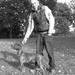 mest aggresive hunde/hunde i fremtiden