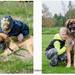 Hvem kender kennel Lyager