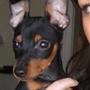 Bo, Scirocco og Sally