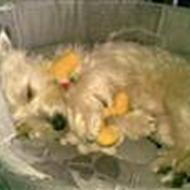 *•Dig&Mig•* Emma+Mille=Kærlighed 4-ever  