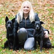 AboutMyDogs