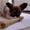 Signe M
