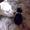 Ditte Dybdahl T