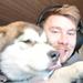 hjælp! hoste og snot! Alaskan Malamute