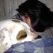 Hundeleg :)