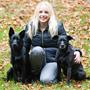 AboutMyDogs
