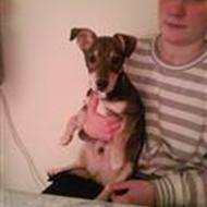 Cathrine & Kris med Bobo *