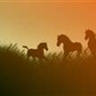 jeanne dreamer gilston corfitz andersen *