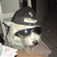 !<33 Team Handymann <33 !  .