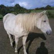 The Mathilde Team <3 T