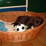 Kristina & Kristine *Team glad* .