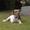 Vibeke R