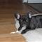 lisbeth & katrine b