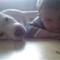 Rina N, amstaff forever .