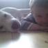 Rina N, amstaff forever .
