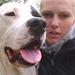 Transport bur .. STOR HUNDE !! 