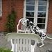 vores hunde skriv om jers hunde her