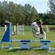 <3 team sandra arthur fie<3 .