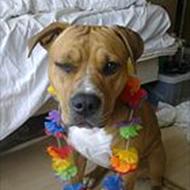 louise *søger udfordringer* m