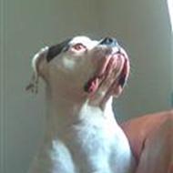 René# Nej til mundkurv, Ja til ansvar!! .