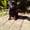 morten c