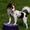 ( : Helle, Kiwi og Canto : )