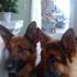 *Fiona&Sheika<3* .