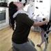 Naboens hund