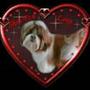 Grethe N