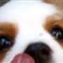 Signe S