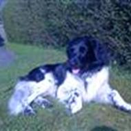 baloo-iloveyou<333 j