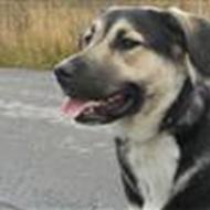 © ' | » Zenta &' Nadja <3 « .