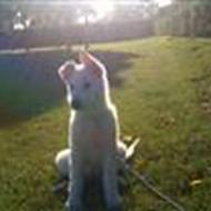 Frederikke og Alex F