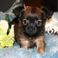 Josephine Mercedes B