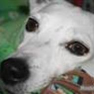 casper l