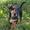 Belinda&Jesper -