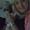 katrine s