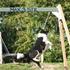 ± HuNdeDaTteR ±