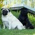 Matilde & Louise