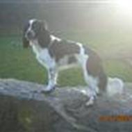 Mie you and me FOREVER >