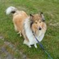 KathrineKnudsen'&'DaugaardsBailey<333 .