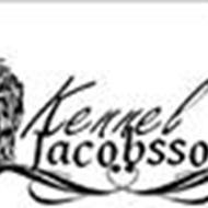 *Kennel Jacobsson* #