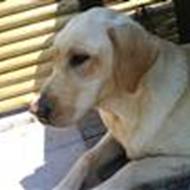 stine dahl steffensen==søger udfordringer :D  s